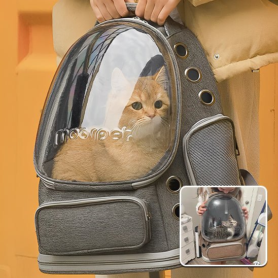 Sac de transport pour chat - transparent - Ma boutique féline