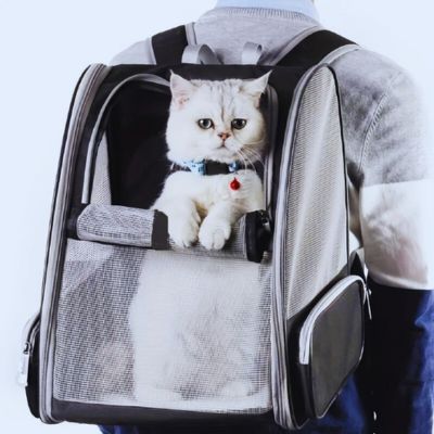 Sac de transport pour chat - ultra respirant - Ma boutique féline