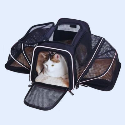 Sac de transport pour chats - extensible et respirant - Ma boutique féline